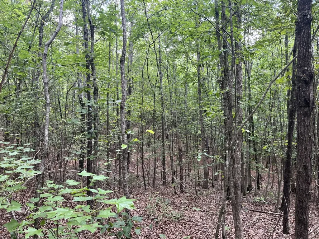 1423 Co Highway 25 Hamilton AL 35570