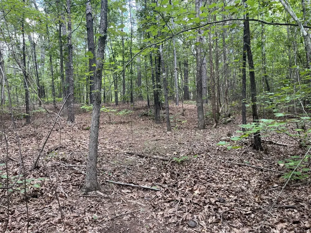 1423 Co Highway 25 Hamilton AL 35570