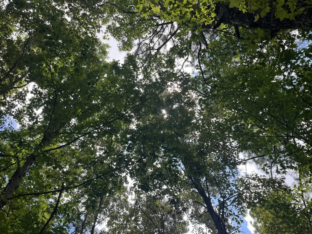 1423 Co Highway 25 Hamilton AL 35570