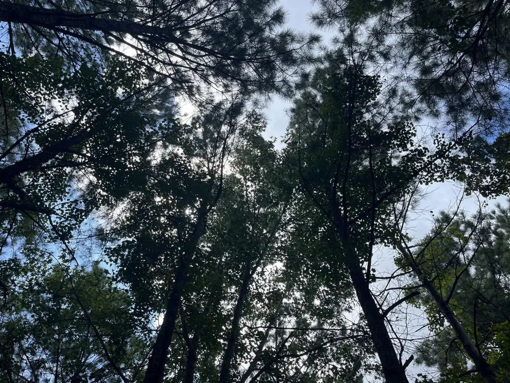 1423 Co Highway 25 Hamilton AL 35570