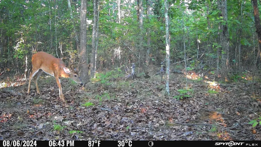 1423 Co Highway 25 Hamilton AL 35570