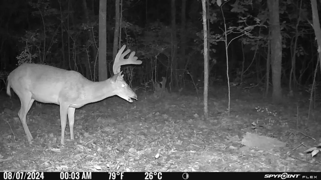 1423 Co Highway 25 Hamilton AL 35570