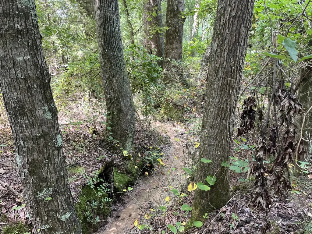 1423 Co Highway 25 Hamilton AL 35570