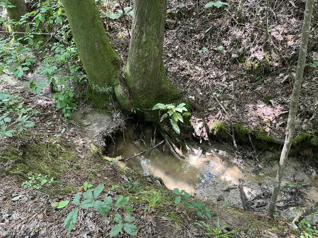 1423 Co Highway 25 Hamilton AL 35570