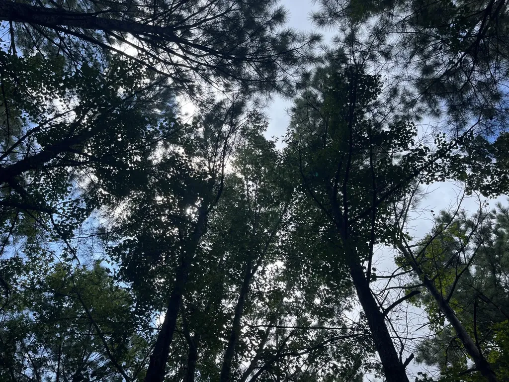 1423 Co Highway 25 Hamilton AL 35570