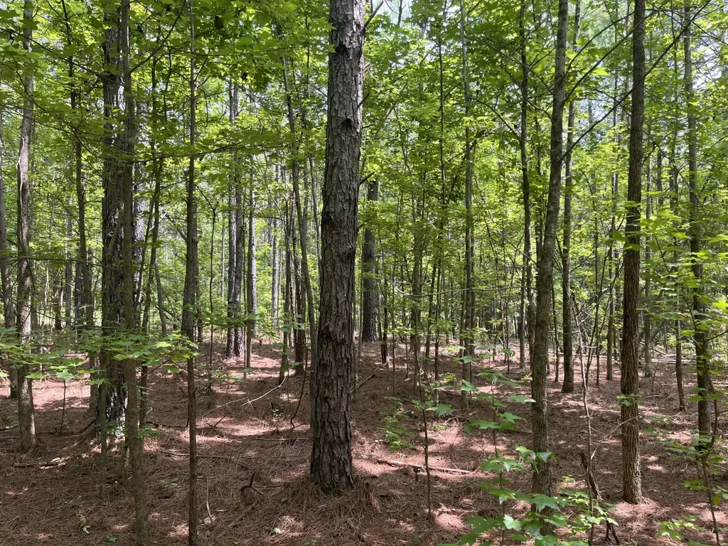 1423 Co Highway 25 Hamilton AL 35570