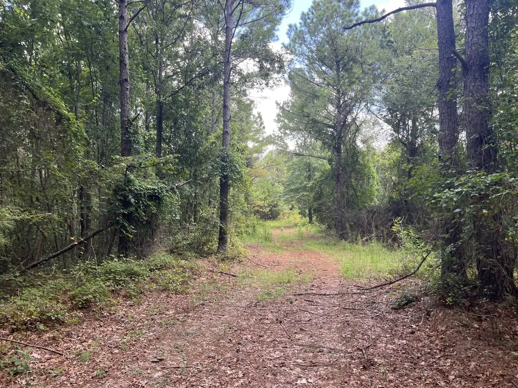1423 Co Highway 25 Hamilton AL 35570
