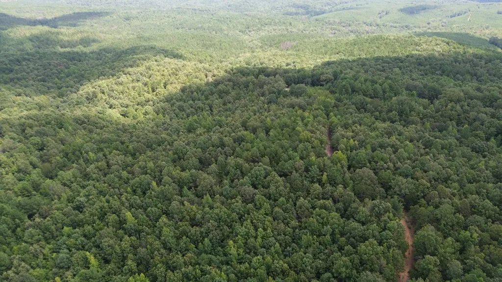 1423 Co Highway 25 Hamilton AL 35570
