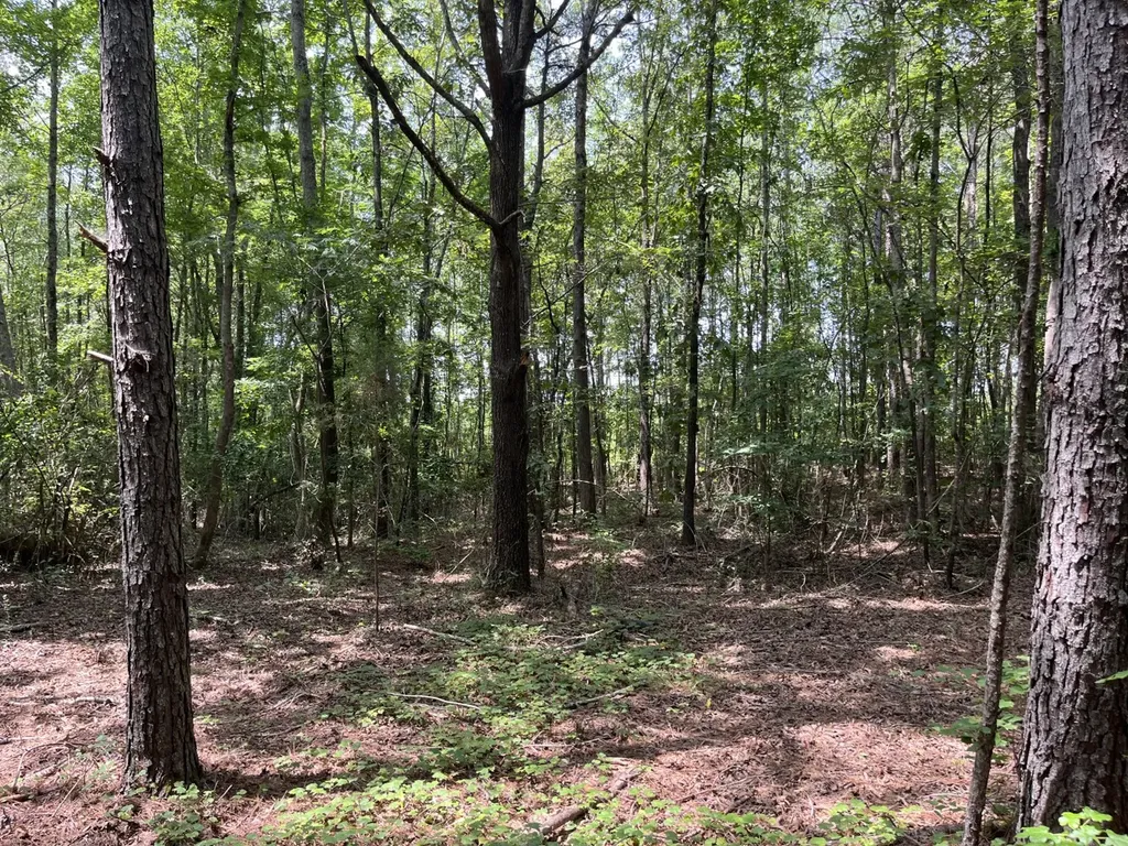 1423 Co Highway 25 Hamilton AL 35570