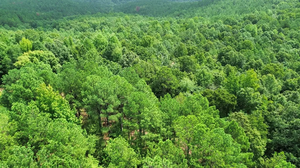 1423 Co Highway 25 Hamilton AL 35570