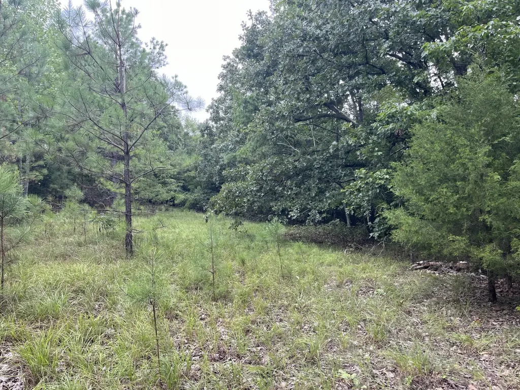 1423 Co Highway 25 Hamilton AL 35570