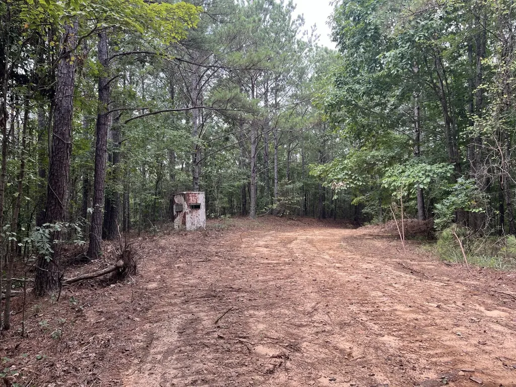 1423 Co Highway 25 Hamilton AL 35570