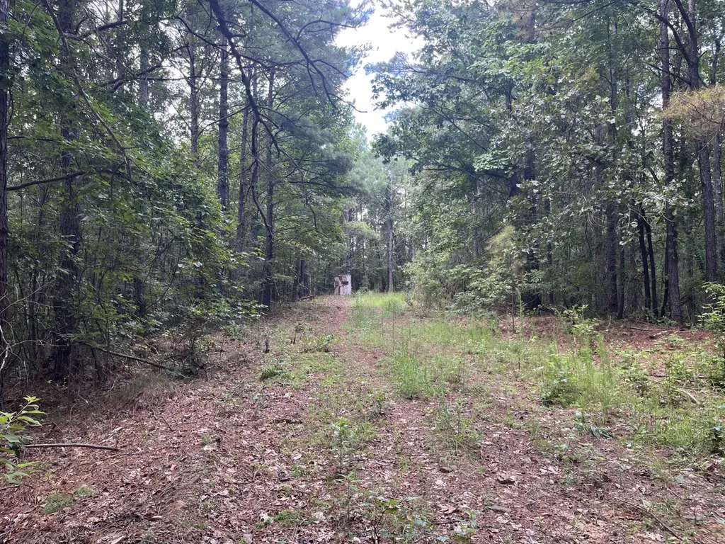 1423 Co Highway 25 Hamilton AL 35570