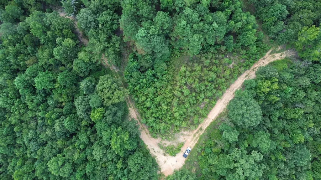 1423 Co Highway 25 Hamilton AL 35570