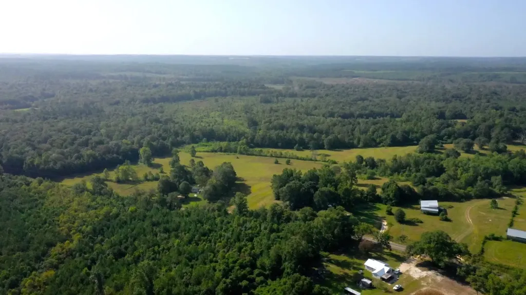 6609 S. Glenwood Road Brantley AL 36009