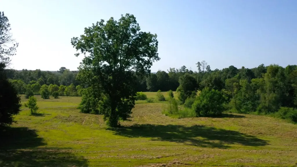 6609 S. Glenwood Road Brantley AL 36009