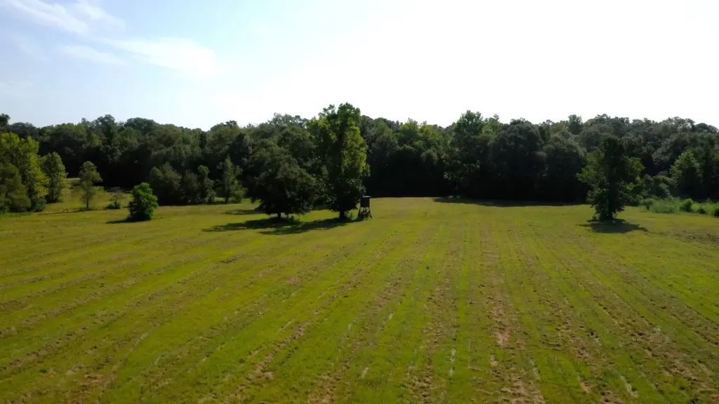 6609 S. Glenwood Road Brantley AL 36009