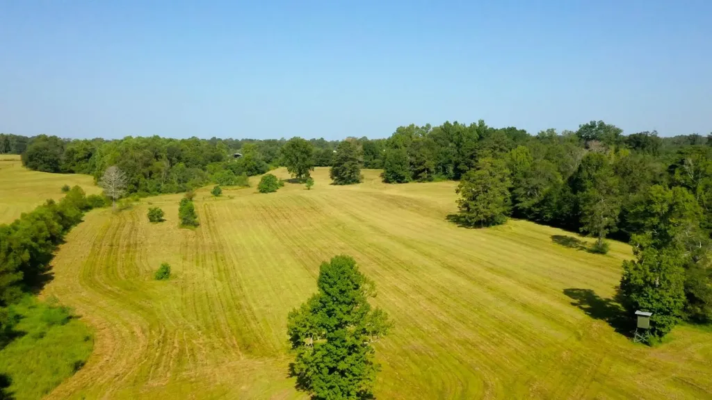 6609 S. Glenwood Road Brantley AL 36009