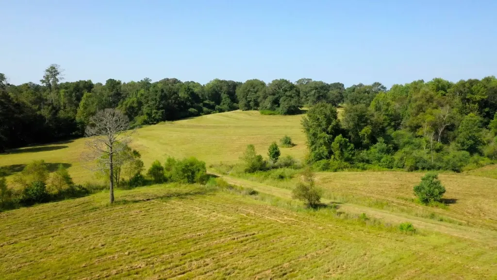 6609 S. Glenwood Road Brantley AL 36009