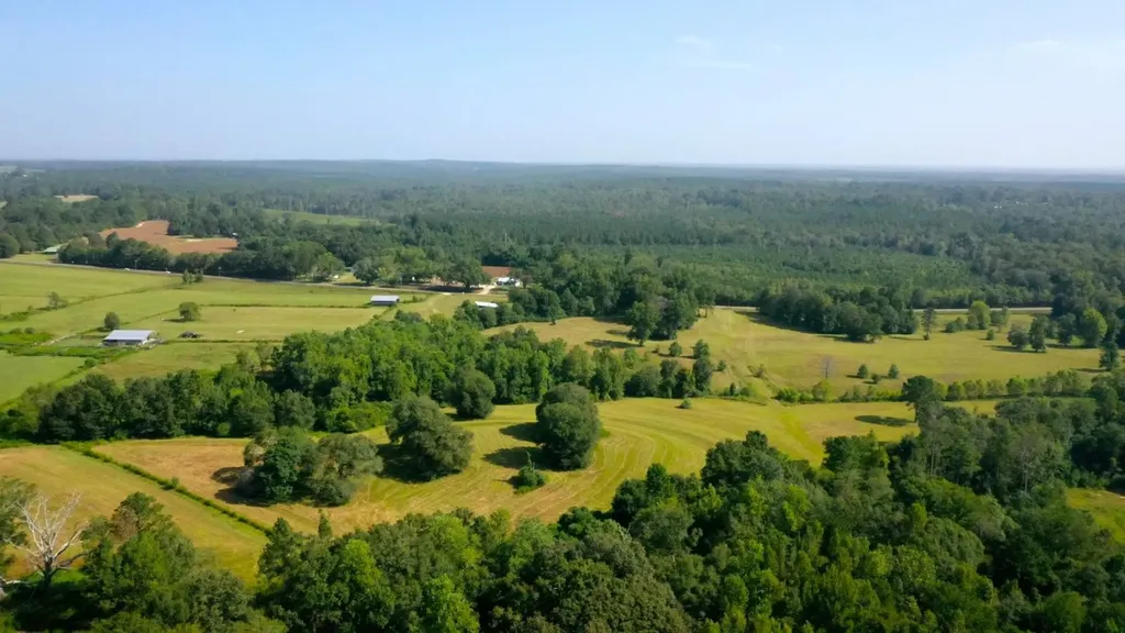 6609 S. Glenwood Road Brantley AL 36009