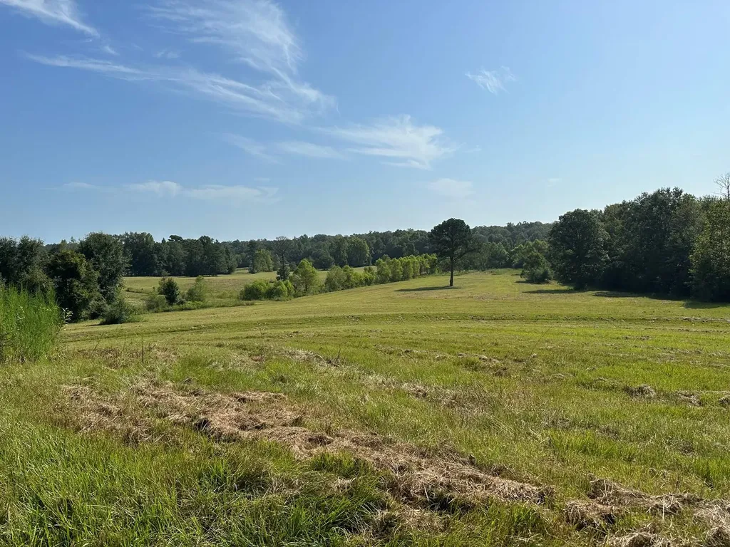 6609 S. Glenwood Road Brantley AL 36009