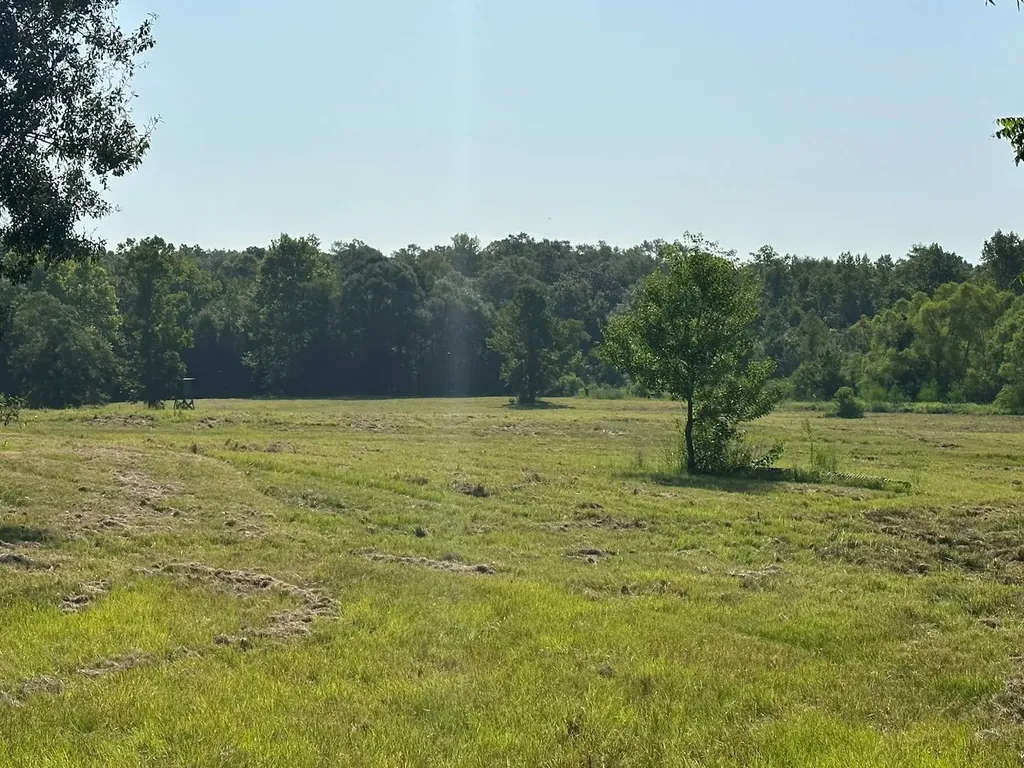 6609 S. Glenwood Road Brantley AL 36009