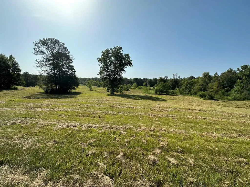 6609 S. Glenwood Road Brantley AL 36009