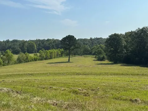 6609 S. Glenwood Road Brantley AL 36009