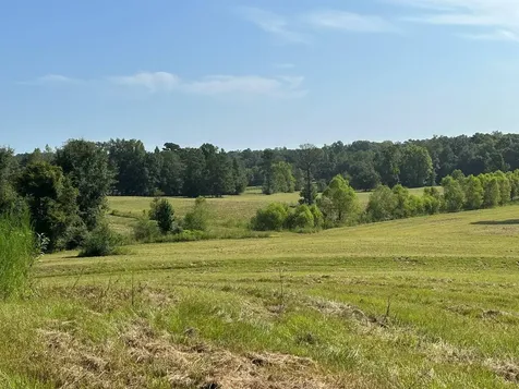 6609 S. Glenwood Road Brantley AL 36009