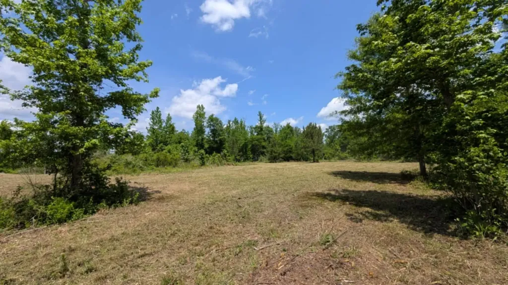 0 Beaver Pond Road Luverne AL 36049