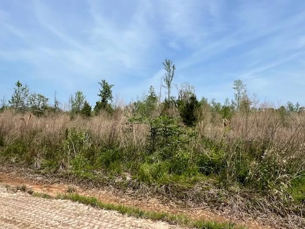 0 Beaver Pond Road Luverne AL 36049