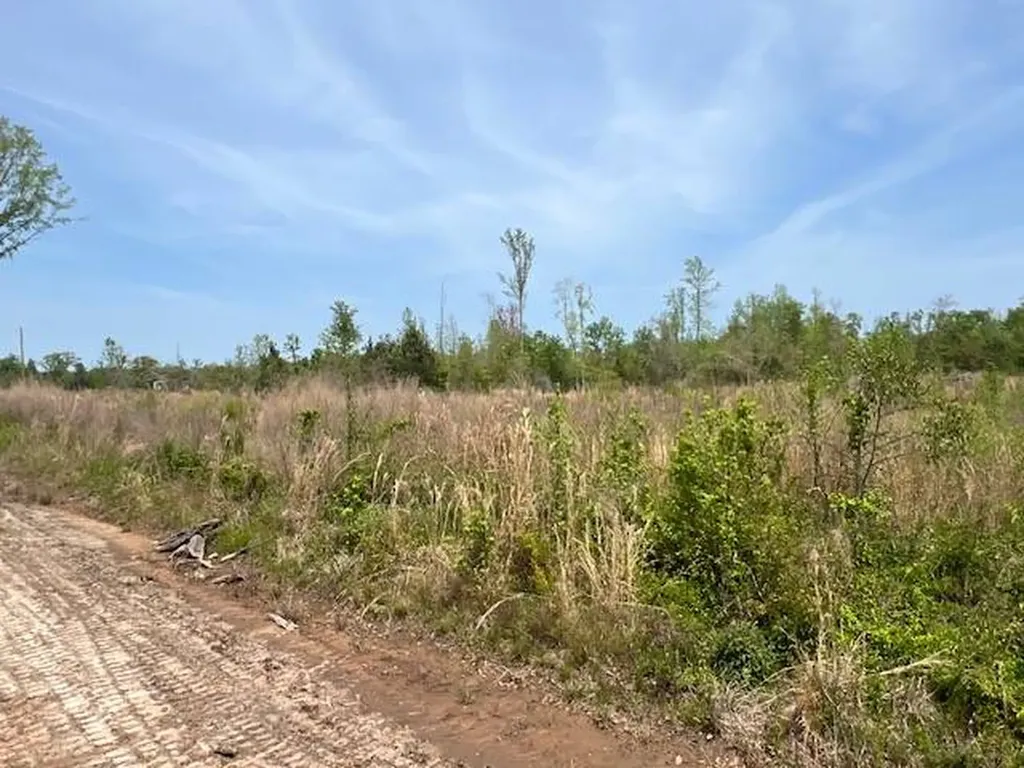 0 Beaver Pond Road Luverne AL 36049