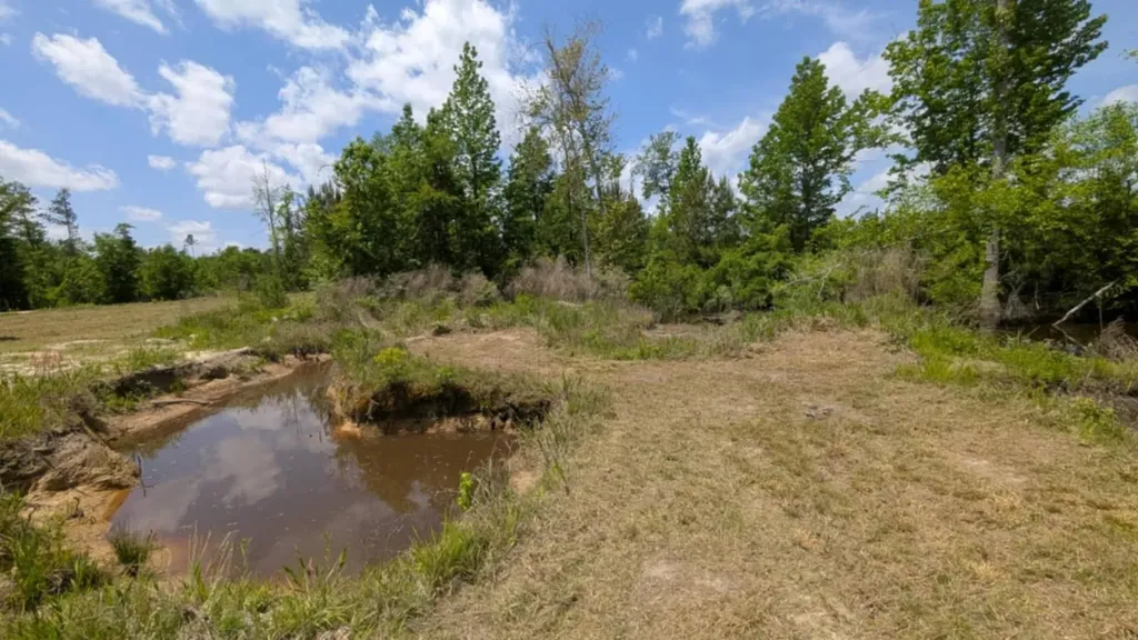 0 Beaver Pond Road Luverne AL 36049