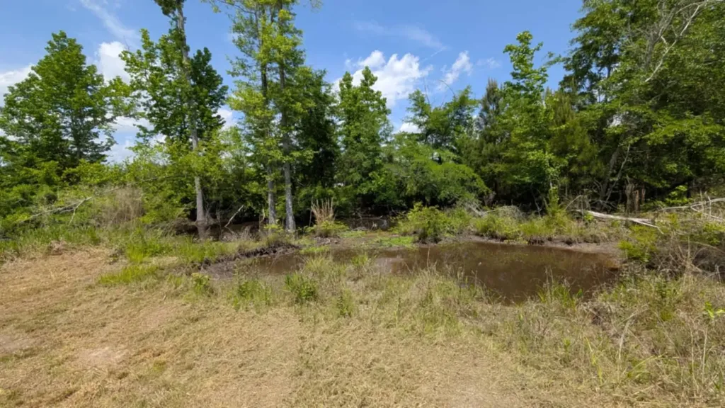 0 Beaver Pond Road Luverne AL 36049