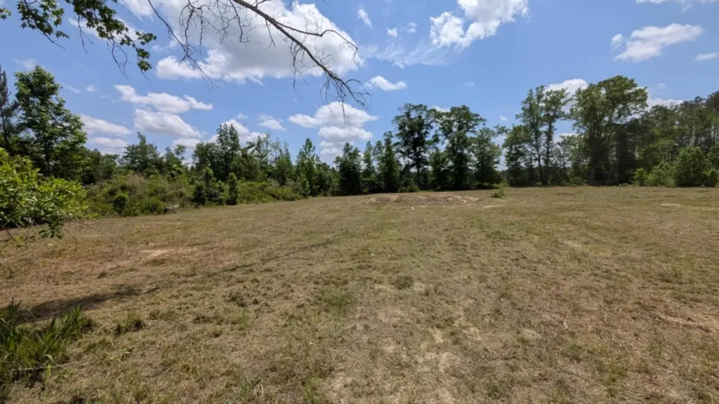 0 Beaver Pond Road Luverne AL 36049