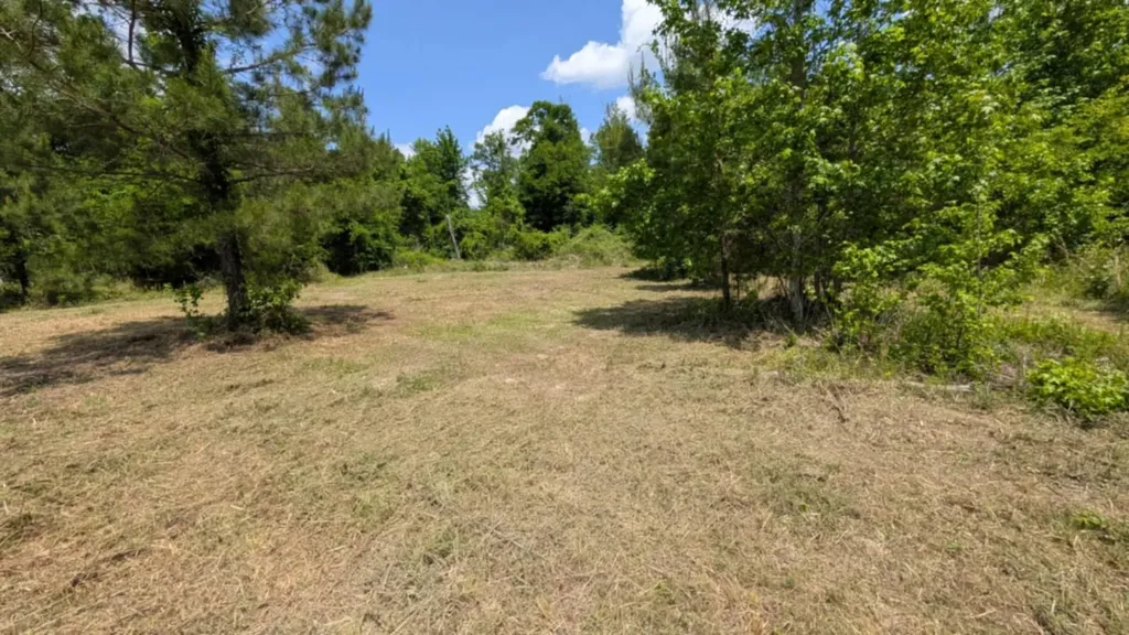 0 Beaver Pond Road Luverne AL 36049