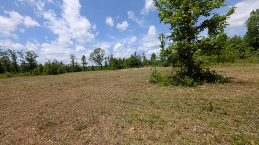 0 Beaver Pond Road Luverne AL 36049