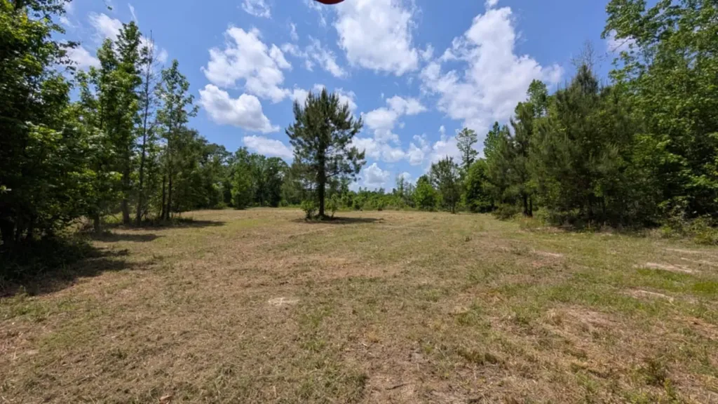 0 Beaver Pond Road Luverne AL 36049