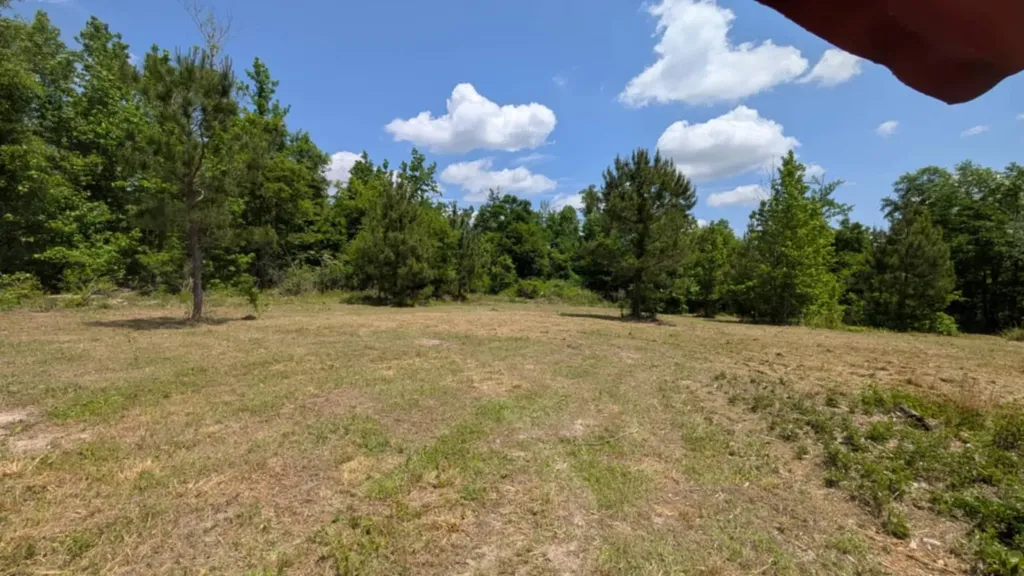 0 Beaver Pond Road Luverne AL 36049
