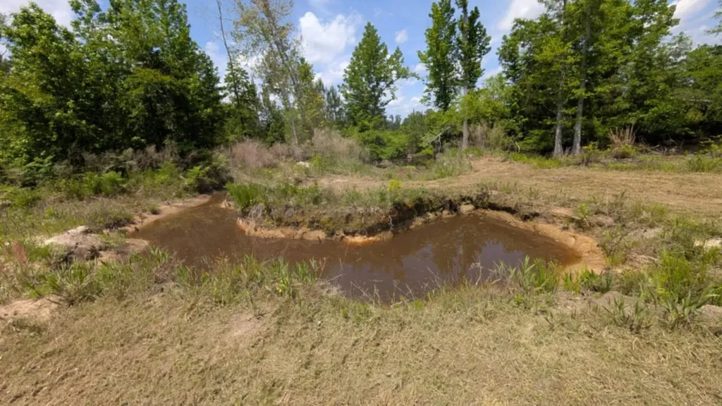 0 Beaver Pond Road Luverne AL 36049