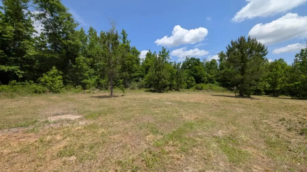 0 Beaver Pond Road Luverne AL 36049