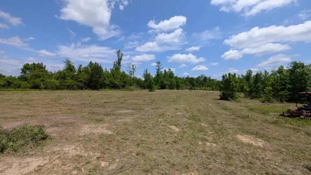 0 Beaver Pond Road Luverne AL 36049