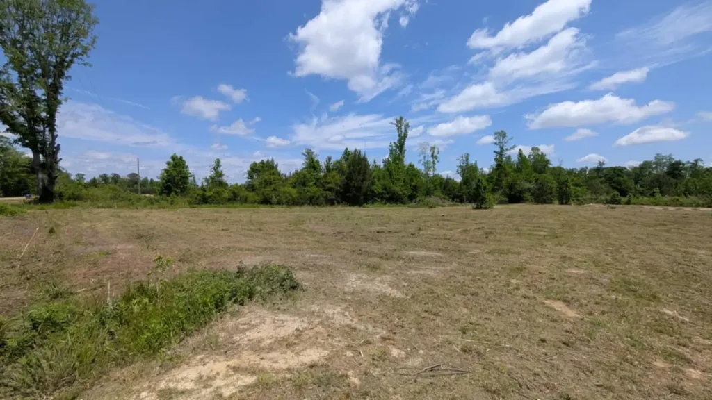 0 Beaver Pond Road Luverne AL 36049