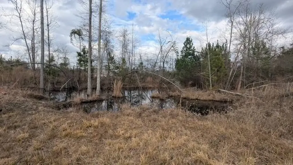 0 Beaver Pond Road Luverne AL 36049