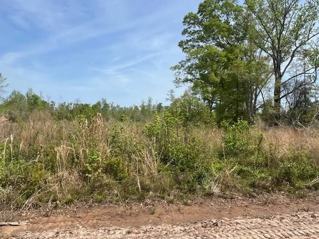 0 Beaver Pond Road Luverne AL 36049