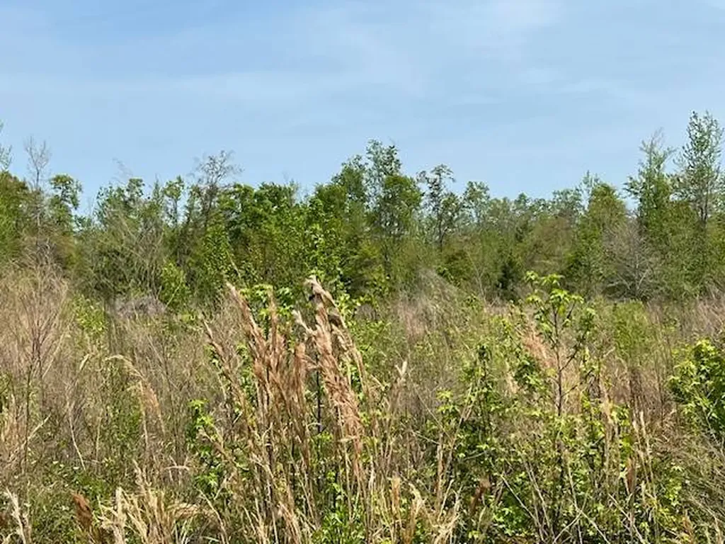 0 Beaver Pond Road Luverne AL 36049