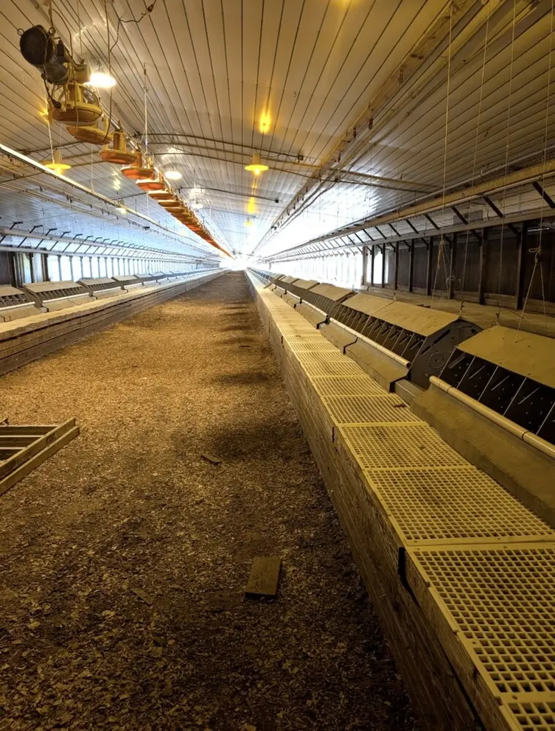 867 S County Road 20 Ozark AL 36360