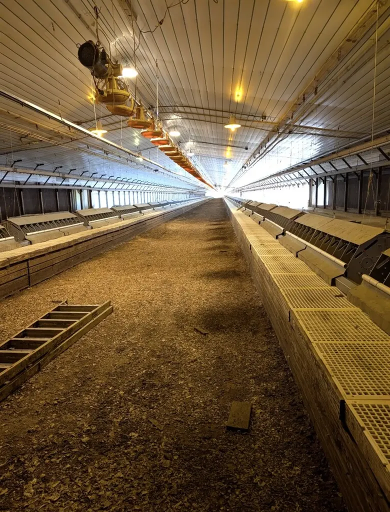 867 S County Road 20 Ozark AL 36360