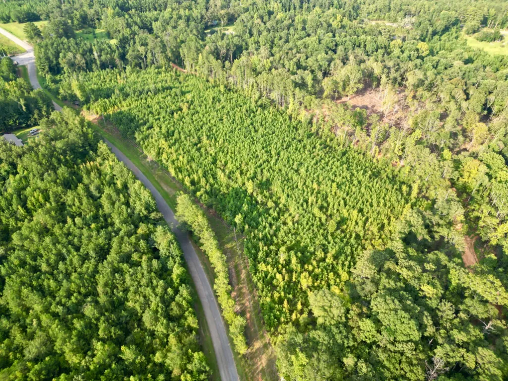 0 Bethlehem Road Jackson AL 36545