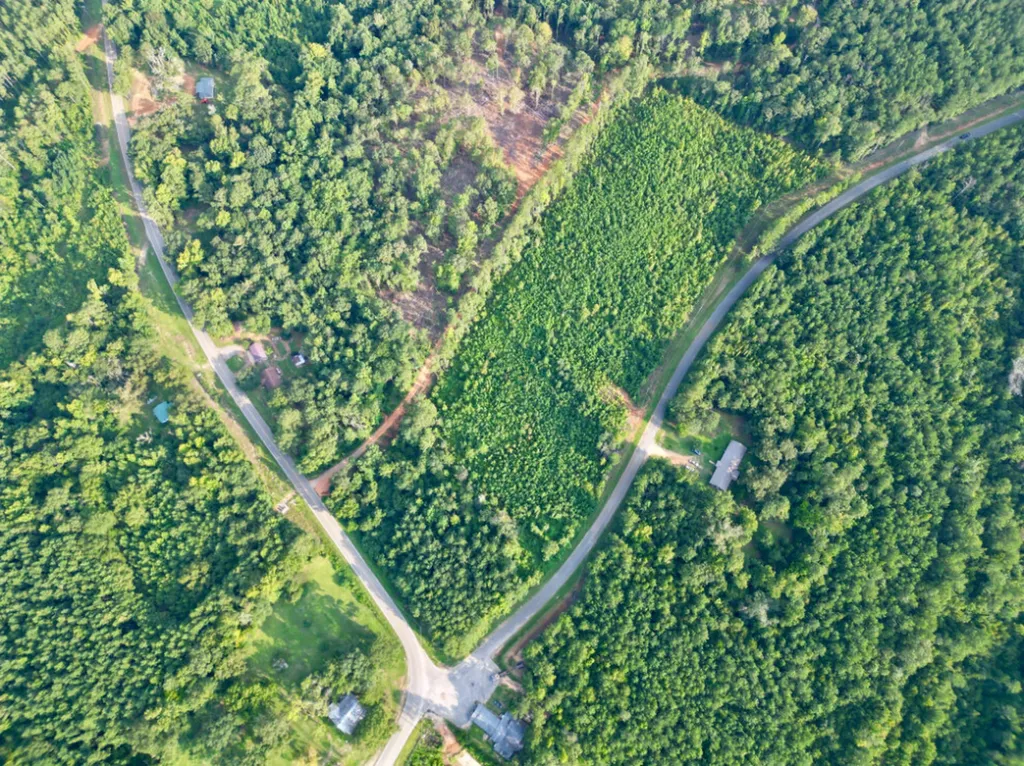 0 Bethlehem Road Jackson AL 36545